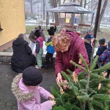 Zdobení stromečku v Domovince - Motýlek