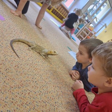 Týdenní projekt s mazlíčky