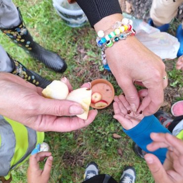 Jak jsme zasadili semínko jablíčka