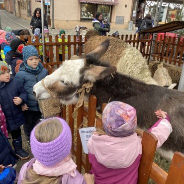 Adventní městečko - Veverka